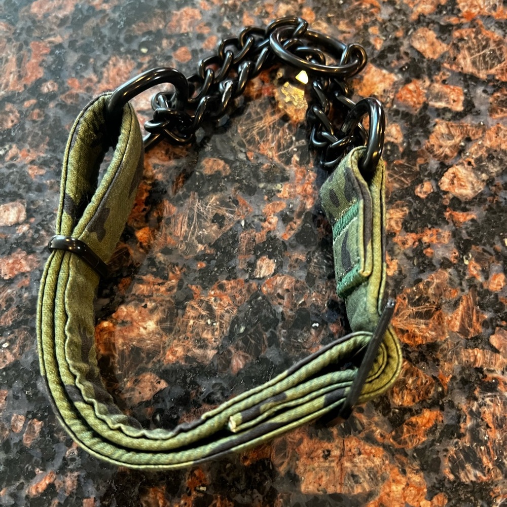 Martingale dog collar